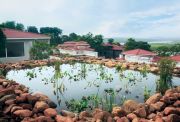 Landscaped pond